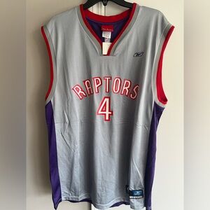 Toronto Raptors basketball jersey (player-Bosh #4)